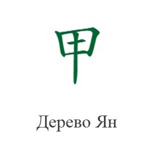 Дерево Ян