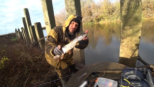 В ПОГОНЕ ЗА ХИЩНИКОМ. СЕЗОН 2025г.