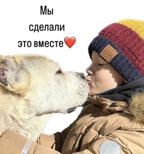 Счастливые истории