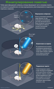 Реконсолидация памяти