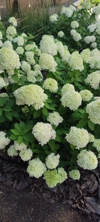 Обулась и пошла! 