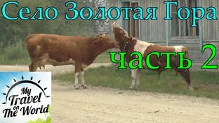 Село Золотая Гора