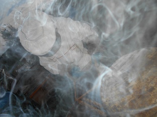 Пчеловодство