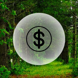 Заказ и покупка