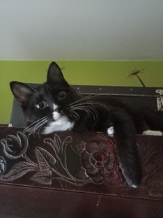 Мебельные дела