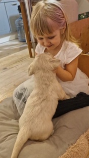 Щенки и дети