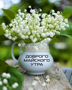 ✅ ✅ Май на дворе 