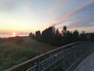 Рассуждения