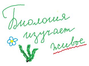 Раздел 1  (все задания 1 на ЕГЭ)