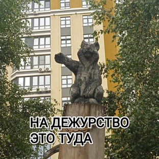  Дежурства в БСМП