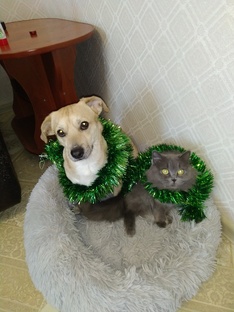 Бэллочка и Лютый