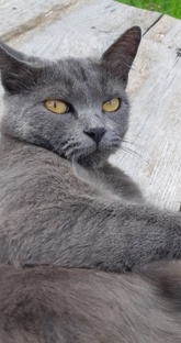 Истории с юмором