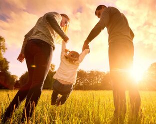 О семейных отношениях читать