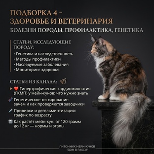 Здоровье и ветеринария