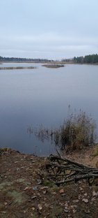 ПРИРОДА ☔️