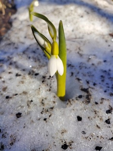 Проживание кризисов