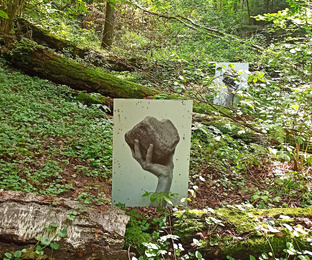 В парке и в лесу