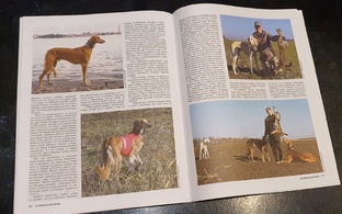 Публикации в Журналах