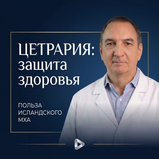ЗДОРОВЬЕ