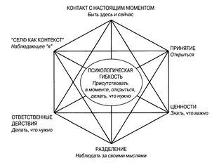 Психология: особенности ACT