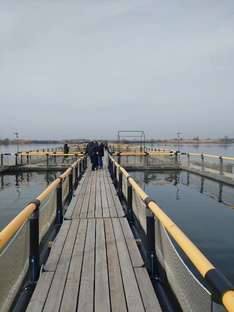 Аквакультура 