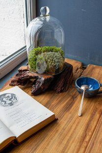 Гримассы уюта