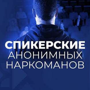 Спикерские АН