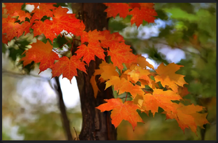 Интересное с разных каналов (репосты)