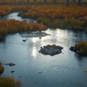 Аномальные зоны