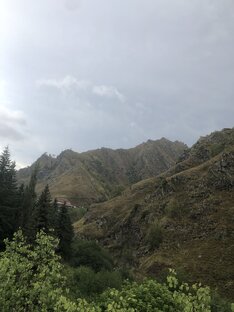 Аутоиммунный панкреатит 