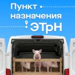 Спецпроект «Пункт назначения - ЭТрН»