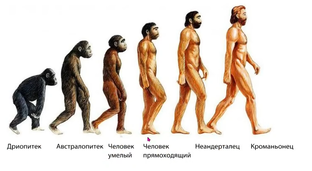 раздел 4 Эволюция 