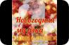 Новогодняя Музыка