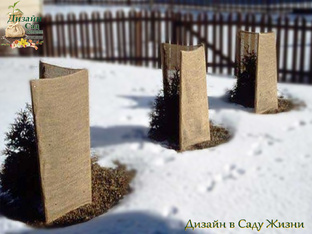 Осень в саду