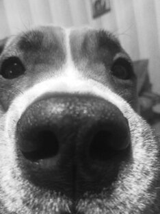 Ты это! Заходи, если что!