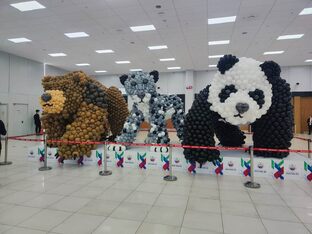 Выставки и фестивали