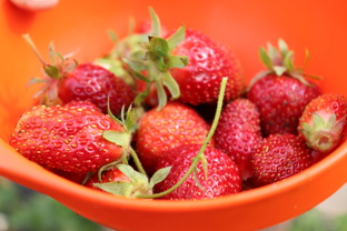 100 вопросов про овощи, фрукты, ягоды и травы