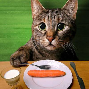 Диетологическое