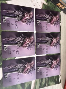 Мак практики