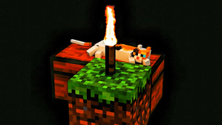 Видео для Голограммы 180 градусов