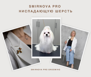 Йорки, Биверы, Мальтезе! 