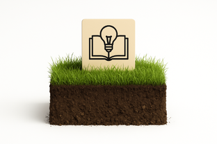 База знаний в земле 👨‍🎓