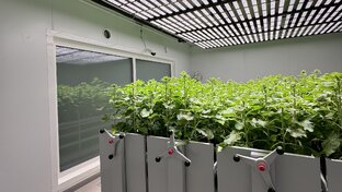 Лаборатории ускоренной селекции