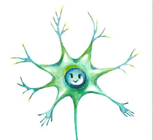 Нервная Система