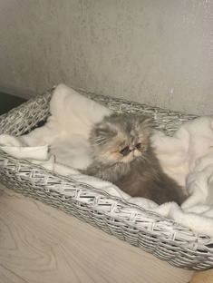 Уже новый дом🥰