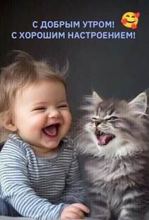 О питомцах