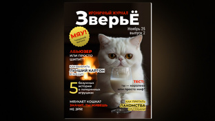Кошачьи выпуски журнала