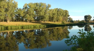 Отдых и рыбалка на Волге и на ериках Волго-Ахтубинской поймы.