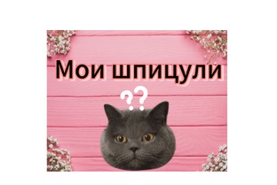 Видео с пушистиками 🔥