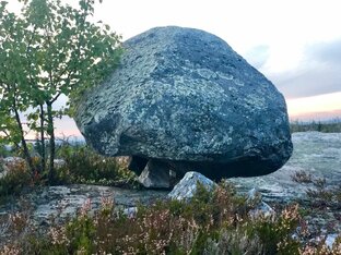 Сейд 4. Лора Хайнц